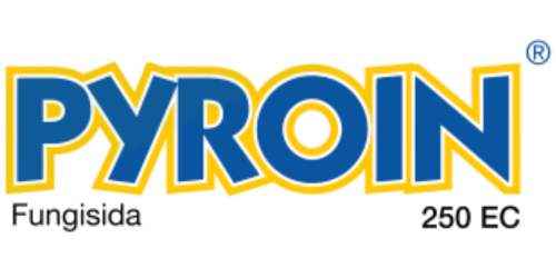 PYROIN